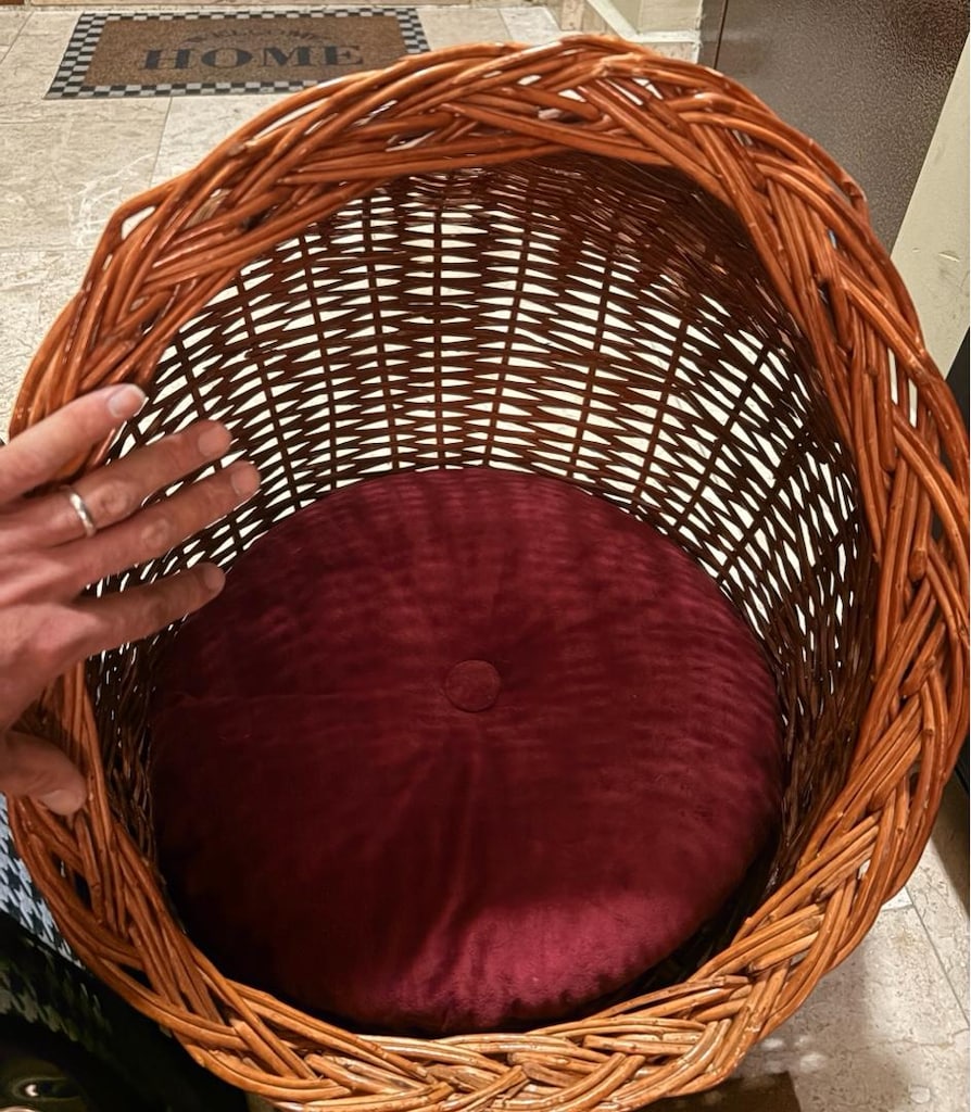 KEDİ YATAĞI VE ÇANTASI. - 2