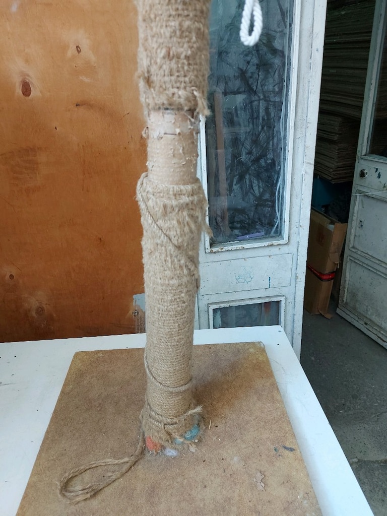 kedi tırmanarak direği yer güngören - 3
