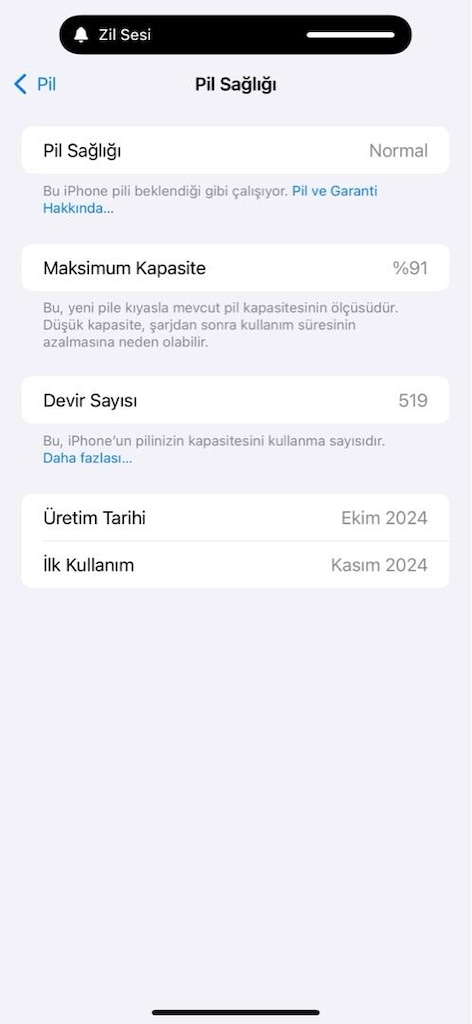 hatasız 16 pro max yd - 8