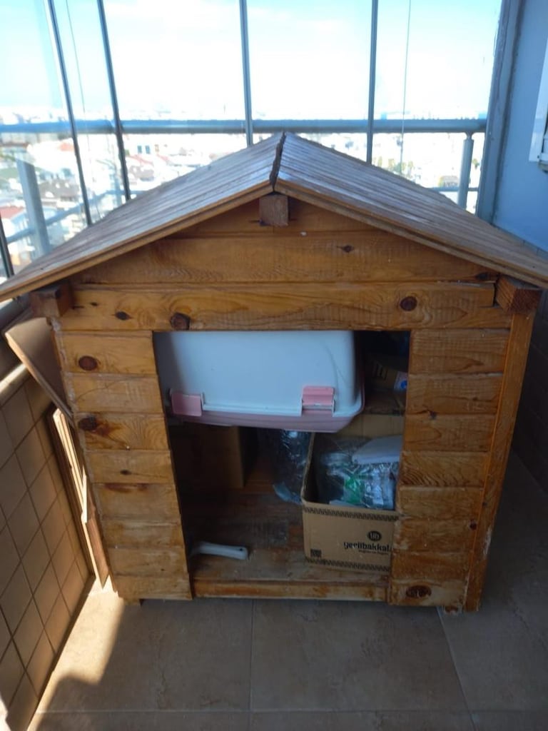 köpek klubesi - 2