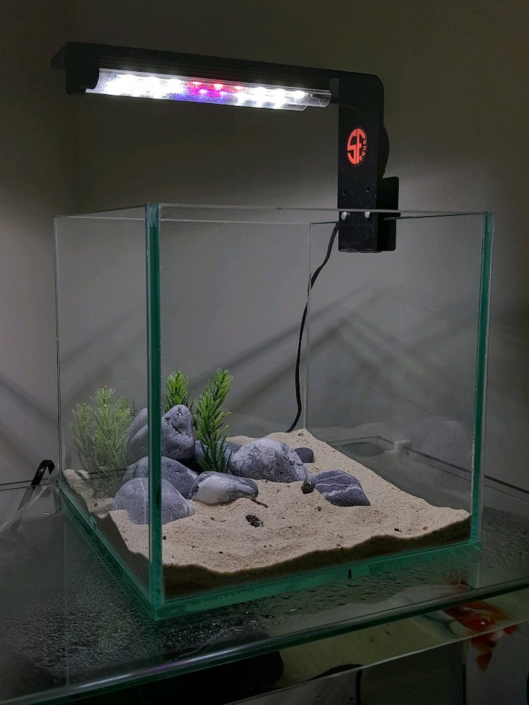 nano akvaryum mini 20x20x20 clear - 10