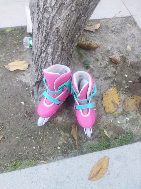 paten