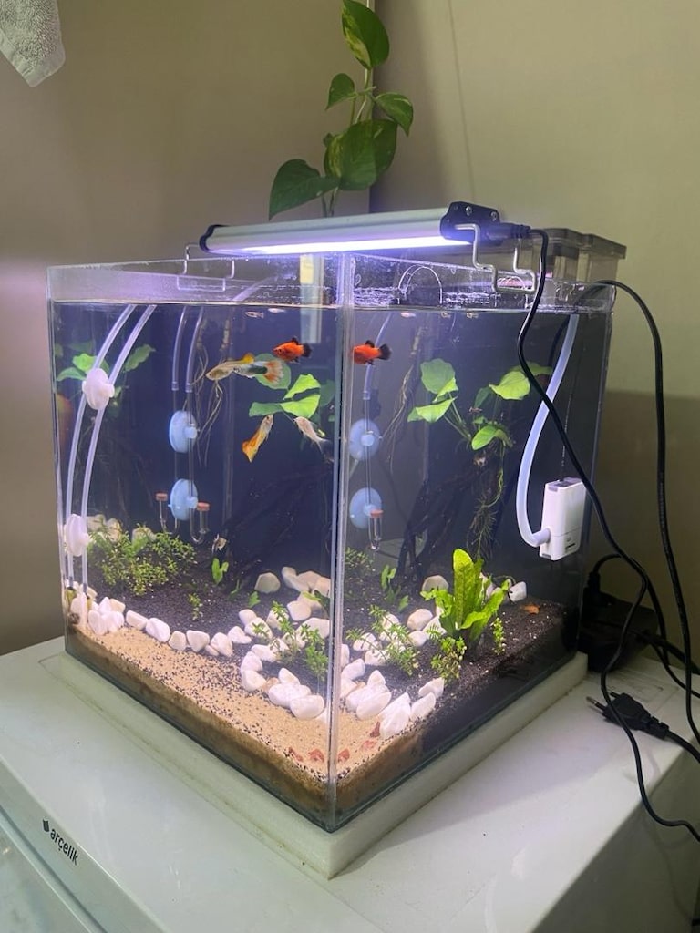 SATILIK KURULU DÜZEN 30x30 AKVARYUM - 3