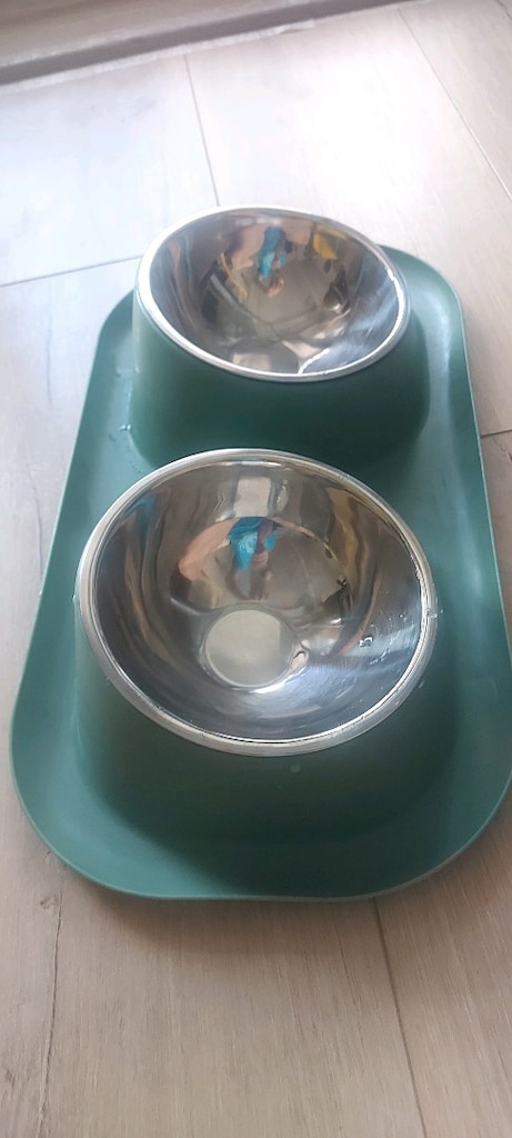 kedi köpek mama Su kabı - 4