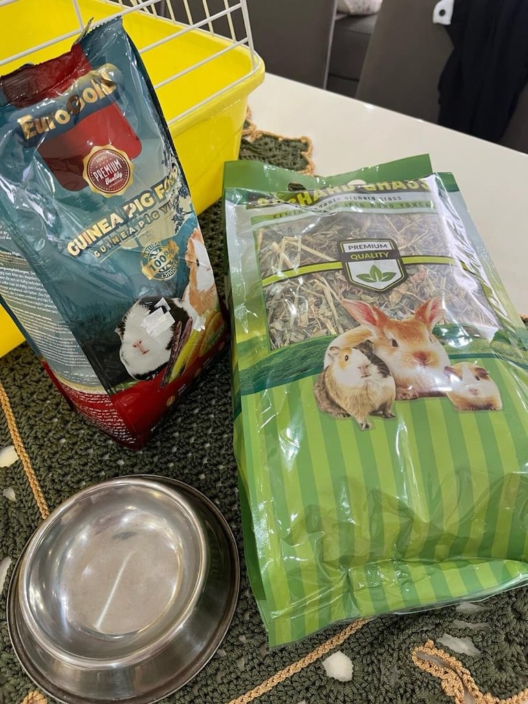 Ginepig ve tavşan kafesi boyutu 60x35 - 4