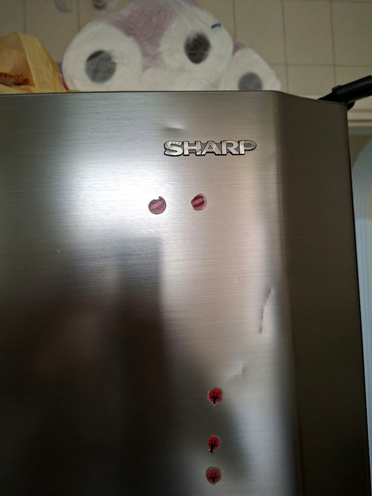 sharp buzdolabı - 2