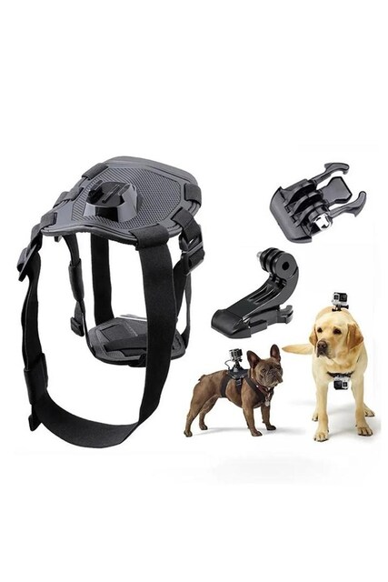 Gopro Köpek Aparatı