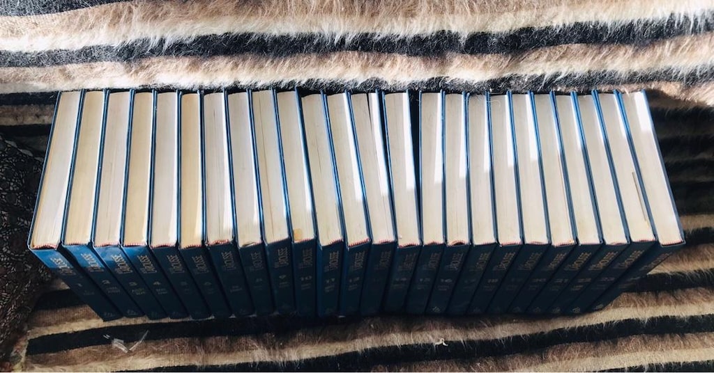 BÜYÜK LAROUSSE Ansiklopedi (24 adet) - 3
