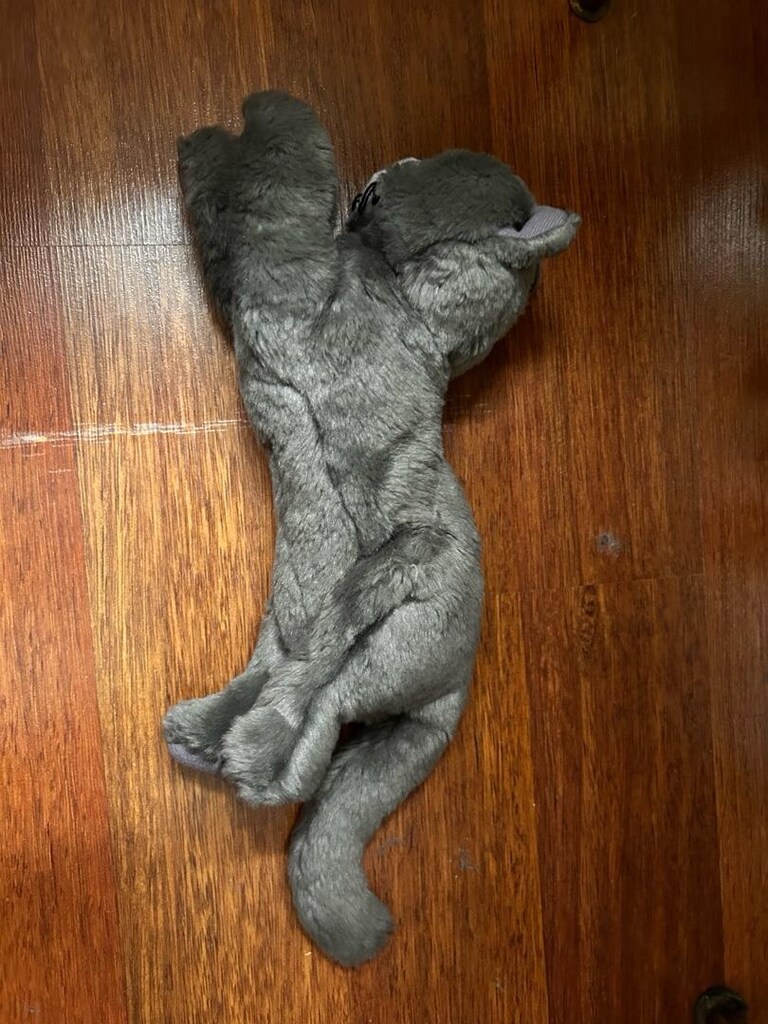Ikea oyuncak kedi - 7