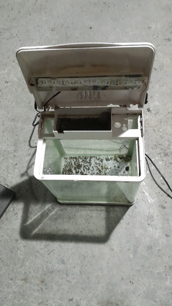 minik akvaryum - 2