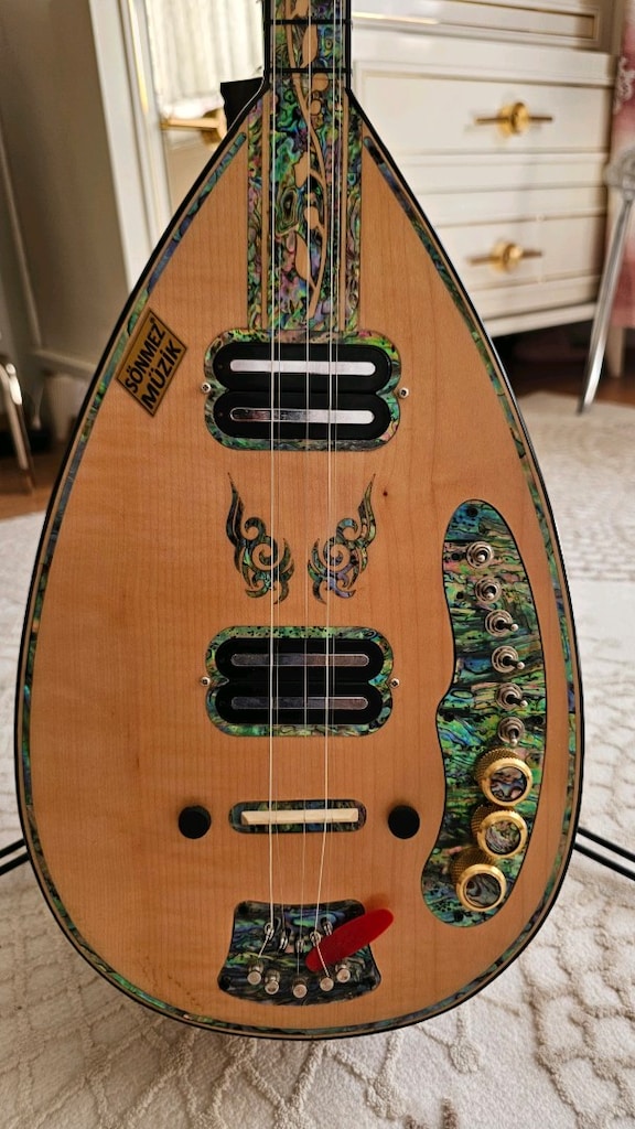 prof. elektro saz - 5
