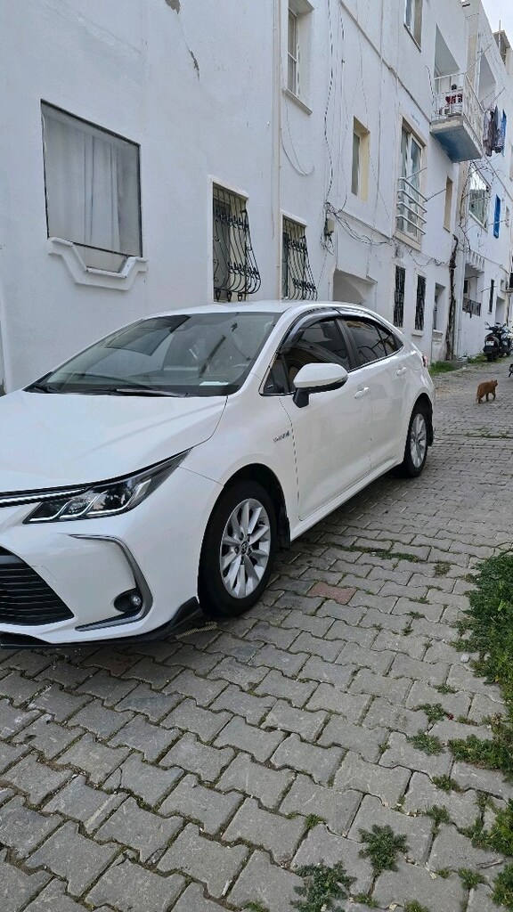 Toyota Corolla - 13