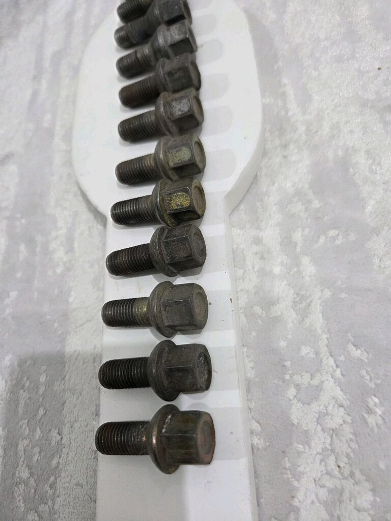 Renault Gurubu 12 Adet Sıfır Bijon - 6