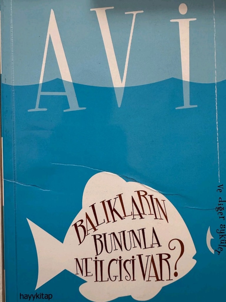 ORTAOKUL SEVİYESİNE UYGUN ÖNERİLEN 10 ÇOCUK KİTABI - 4