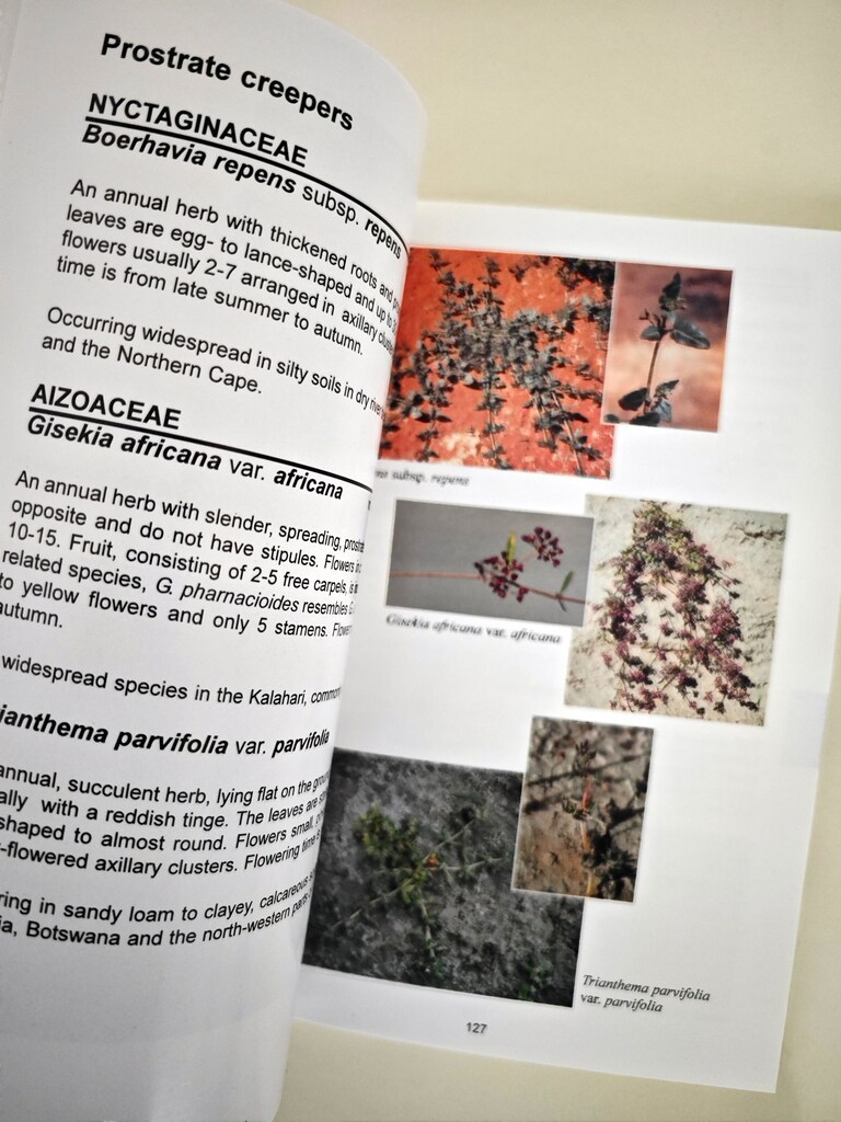 Kitap / Flowering Plants of the Kalahari Dunes - 6