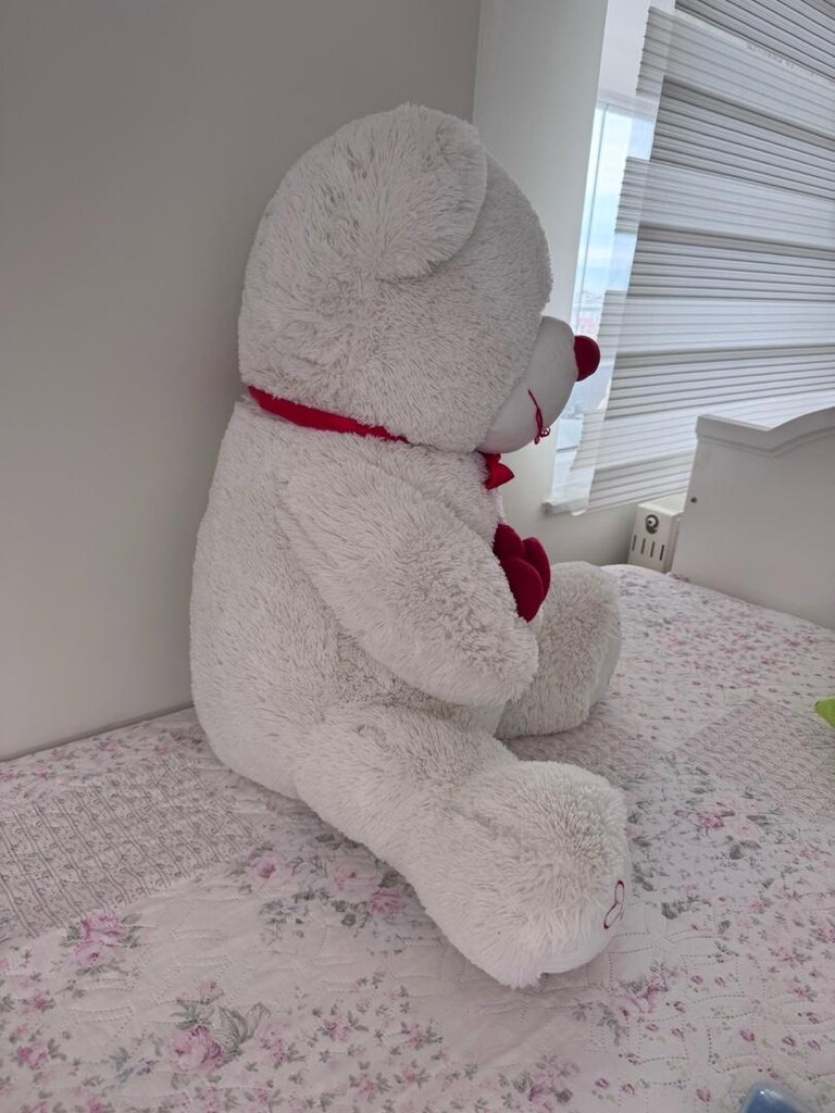 Peluş Ayı - 3
