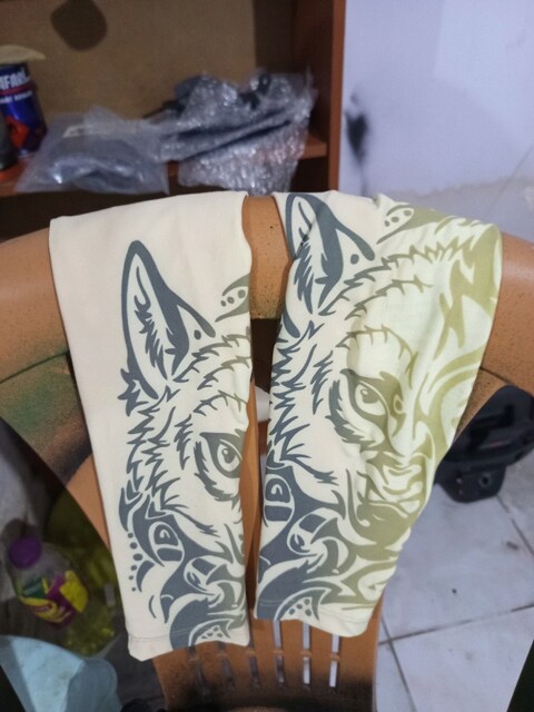 Kolluk
