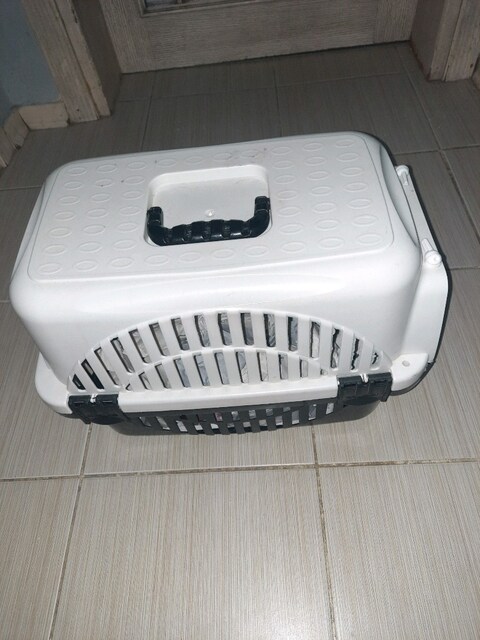 kedi box puset