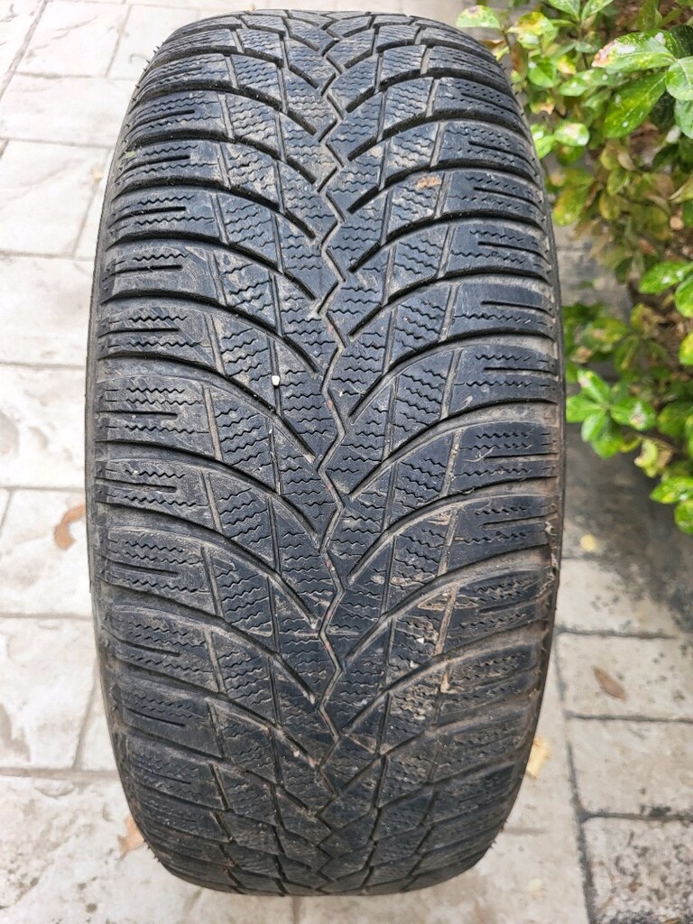 iki adet Lassa kış lastiği 215 55 17 - 2