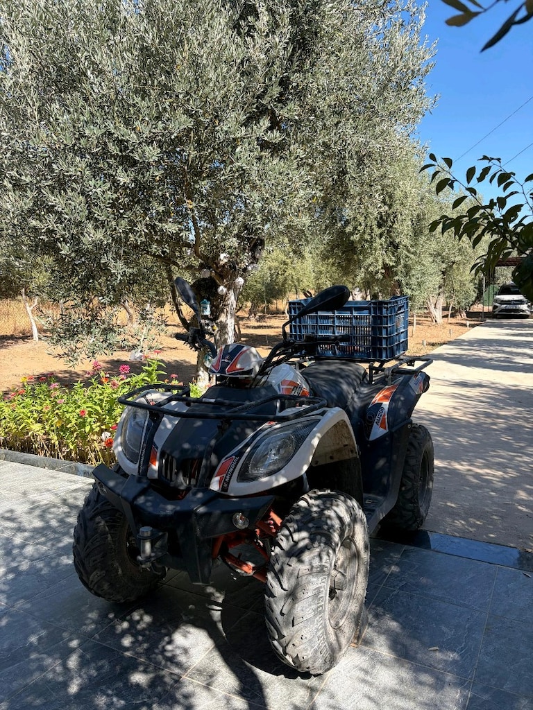 Sahibinden Satılık Mondial AU200 ATV (on-road) - 2