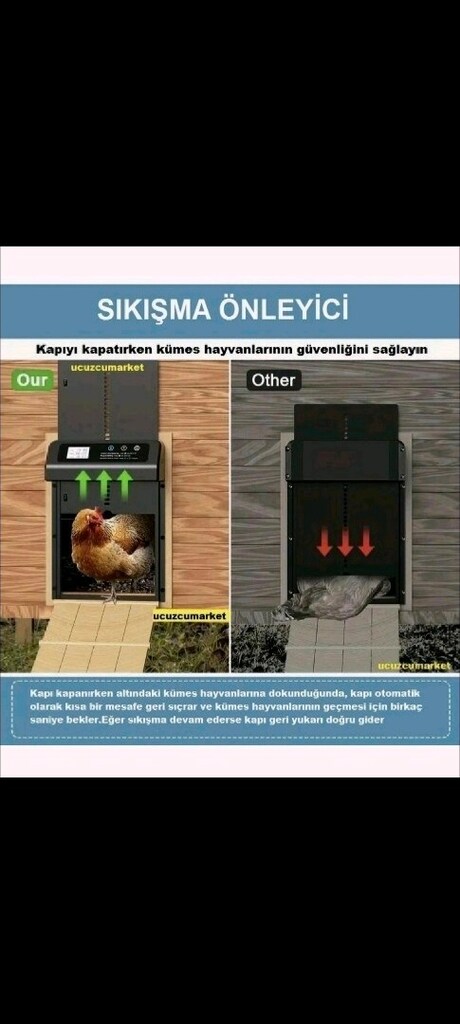 Otomatik Kümes Kapısı Dijital Zaman Ayarlı - 3