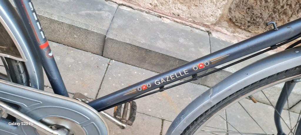 Gazelle bisiklet - 7