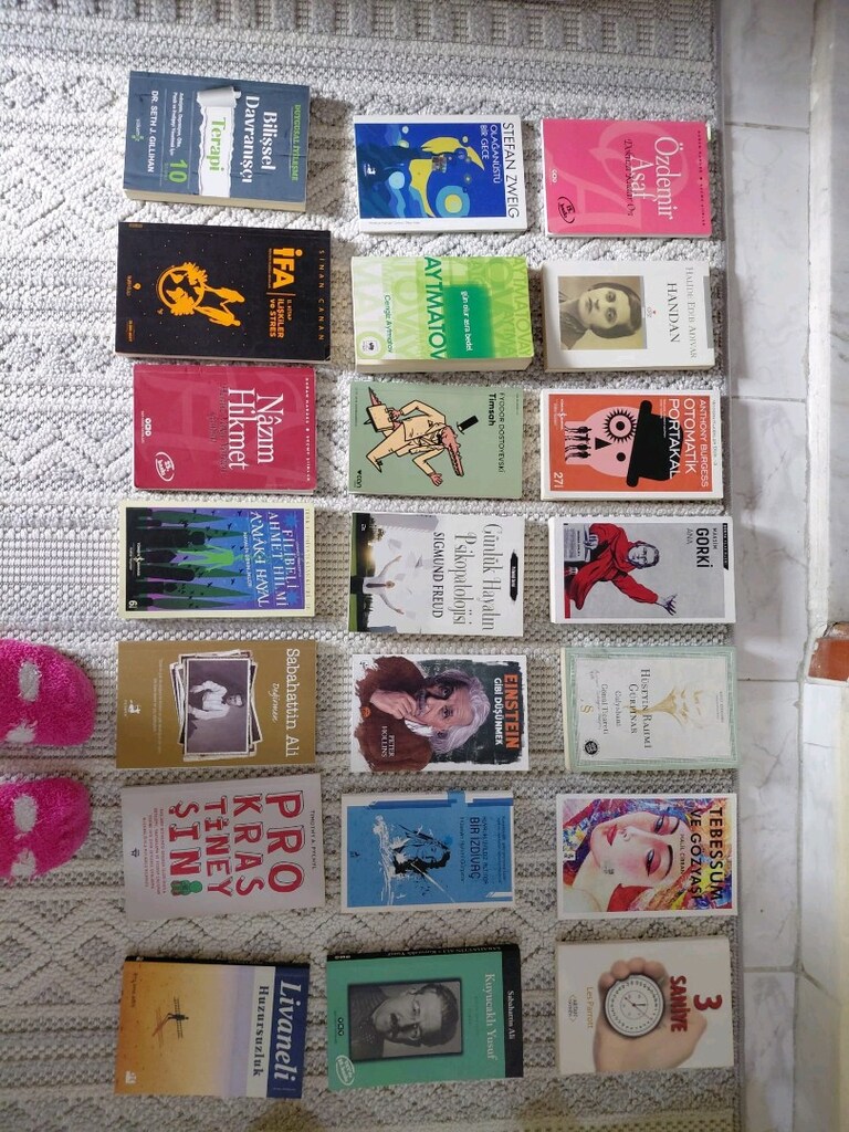 felsefe Psikoloji Modern klasik Roman çeşit çeşit kitaplar - 6