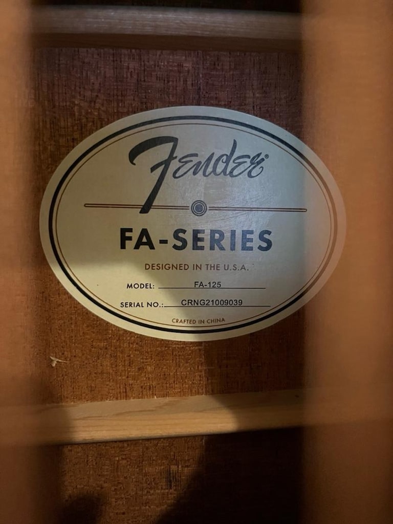 Fender Akustik Gitar - 3