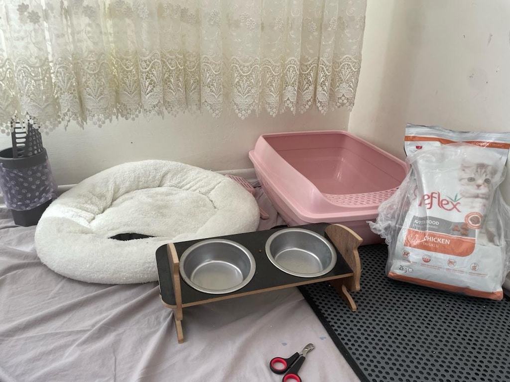 kedi malzemeleri