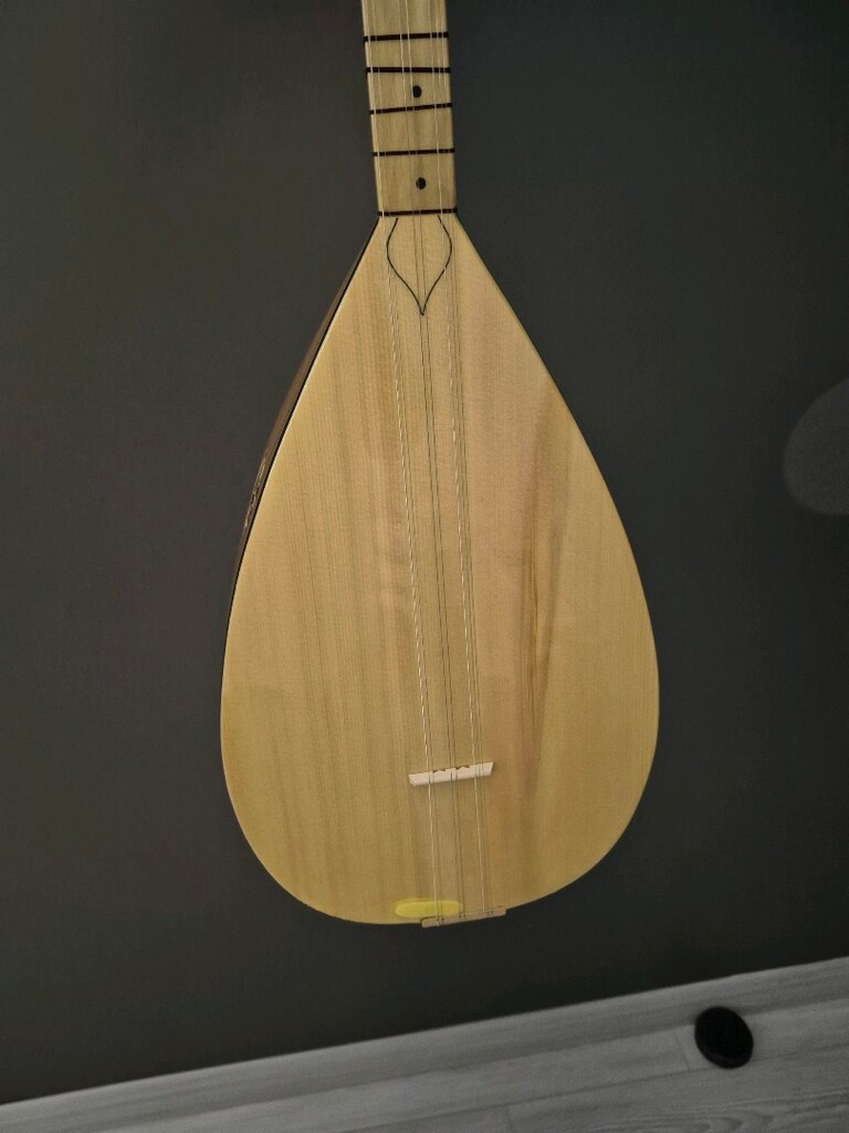Kısa Sap Saz Bağlama Jack Girişli taşıma çantası kılıfı - 5