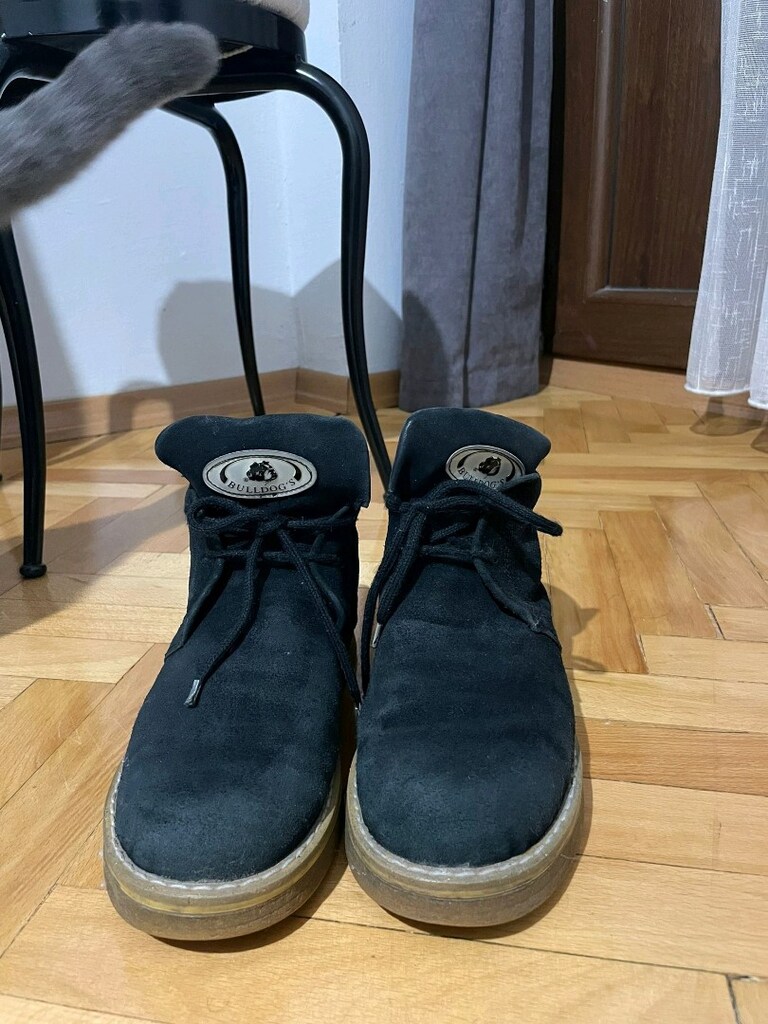 Bulldog's Bot - 7