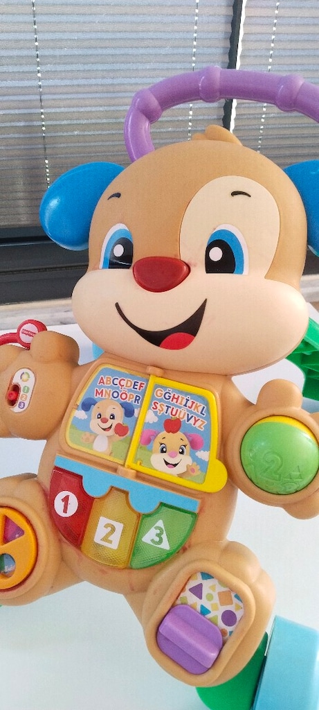 Köpek Bebek Yürüteci ve Ahşap Koordinasyon Oyuncağı - 3