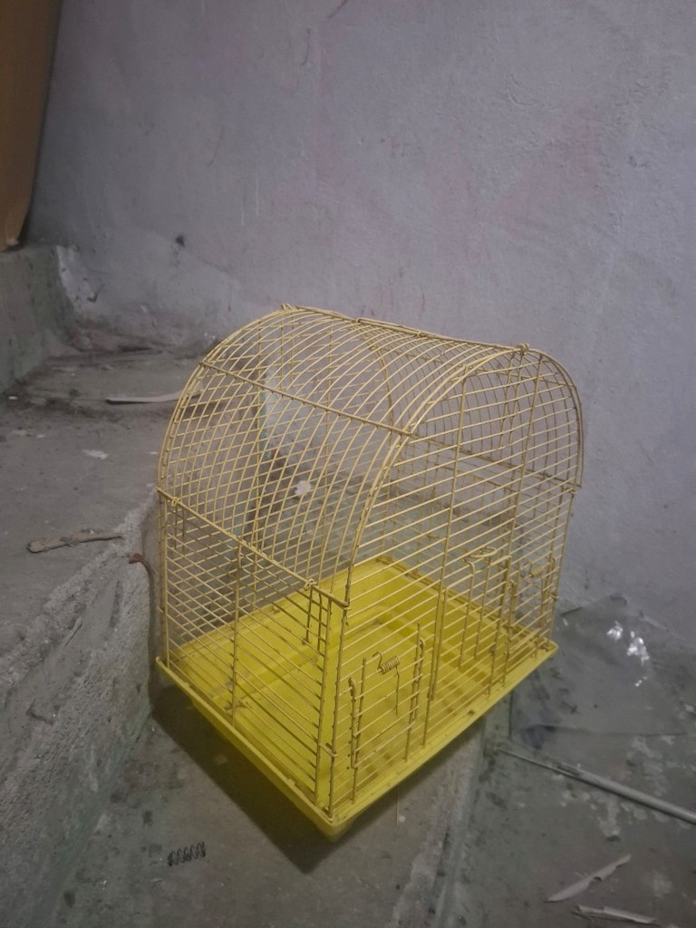 2 adet kafes - 3