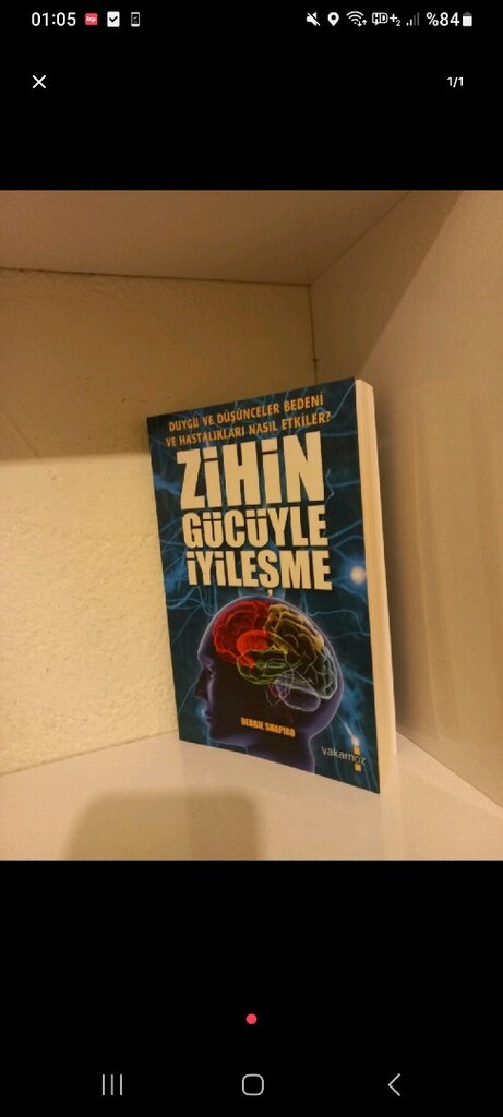 Gülben gönülden, debbıe shapiro ve james j. mabes - 3