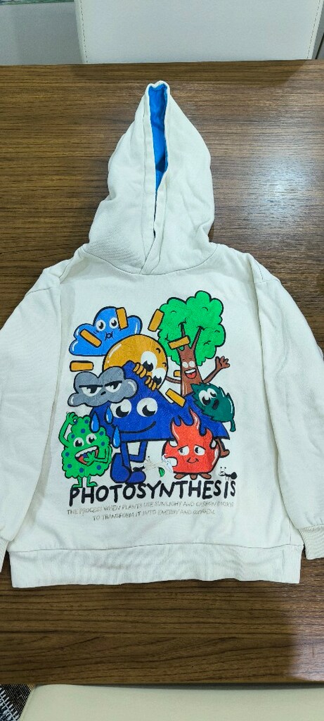 H&M Kapşonlu Sweatshirt