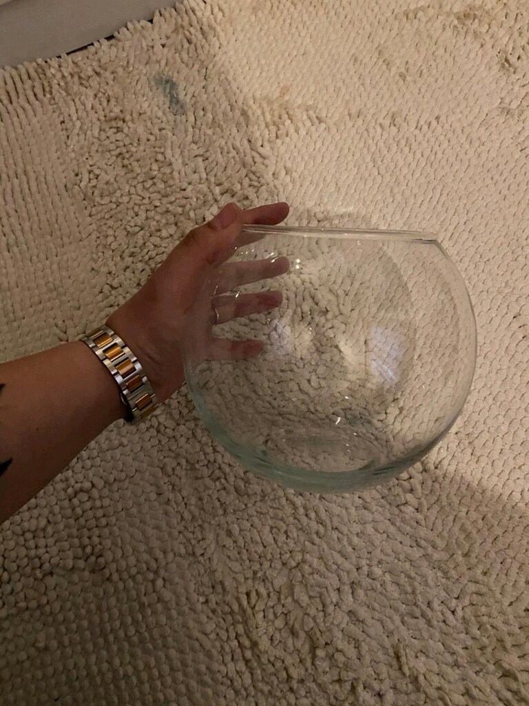 cam fanuş 3 adet var elimde tanesi 150 - 10