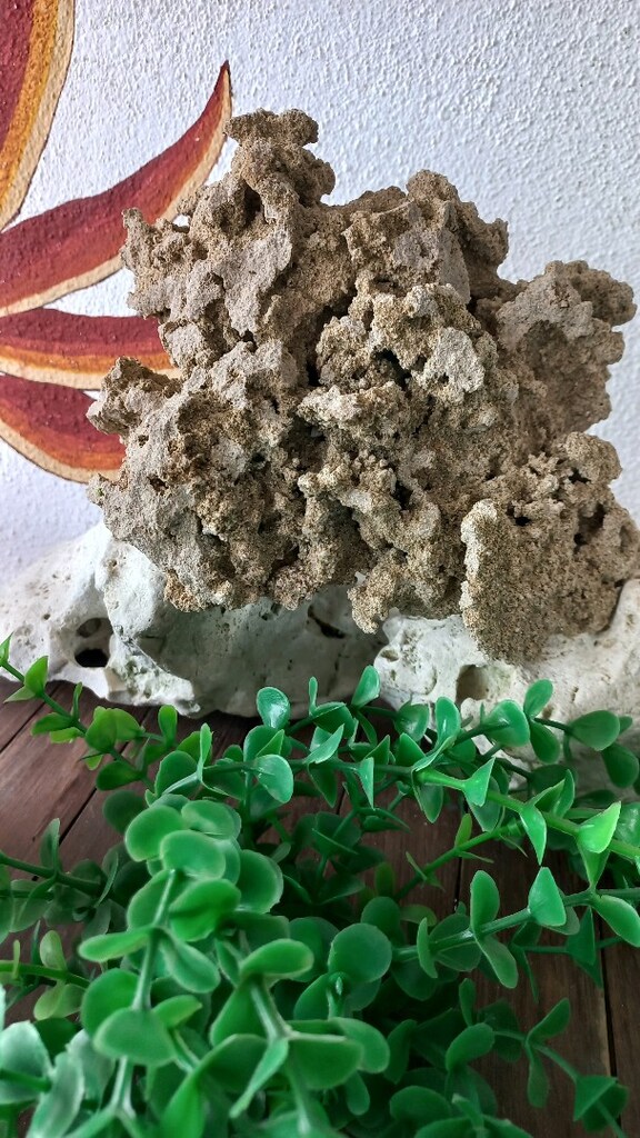 Akvaryum süsleme - 5