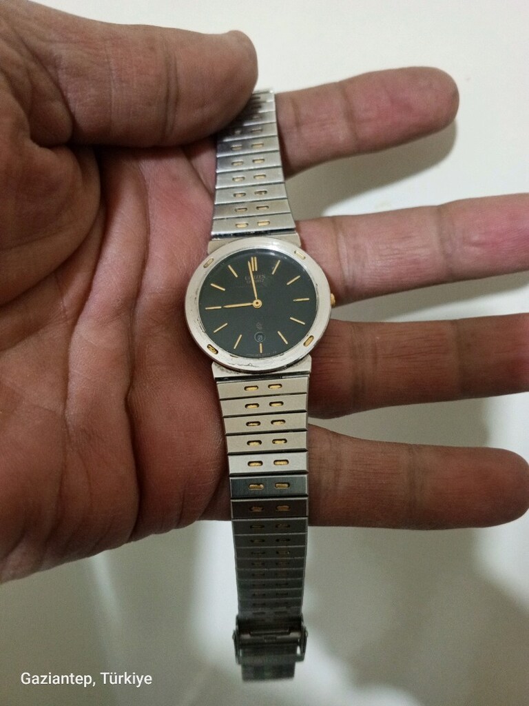 citizen ouartz japan yaprak kasa - 9