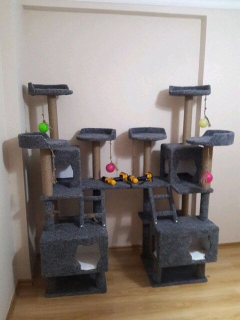 ikili kedi evi tırmalama oyun parkuru 183 cm boy 10 adet tırmalama