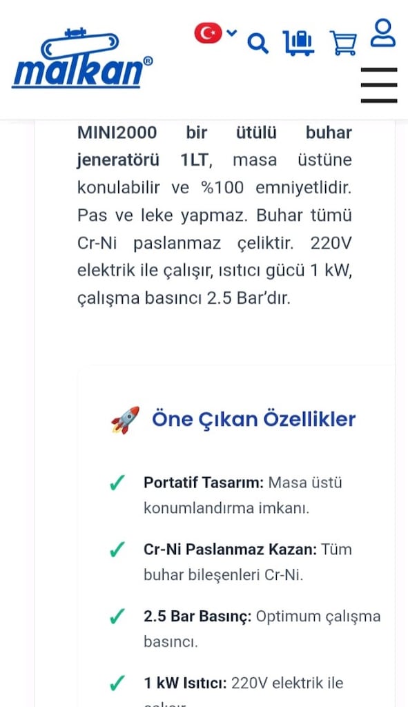 Kazanlı ütü - 2