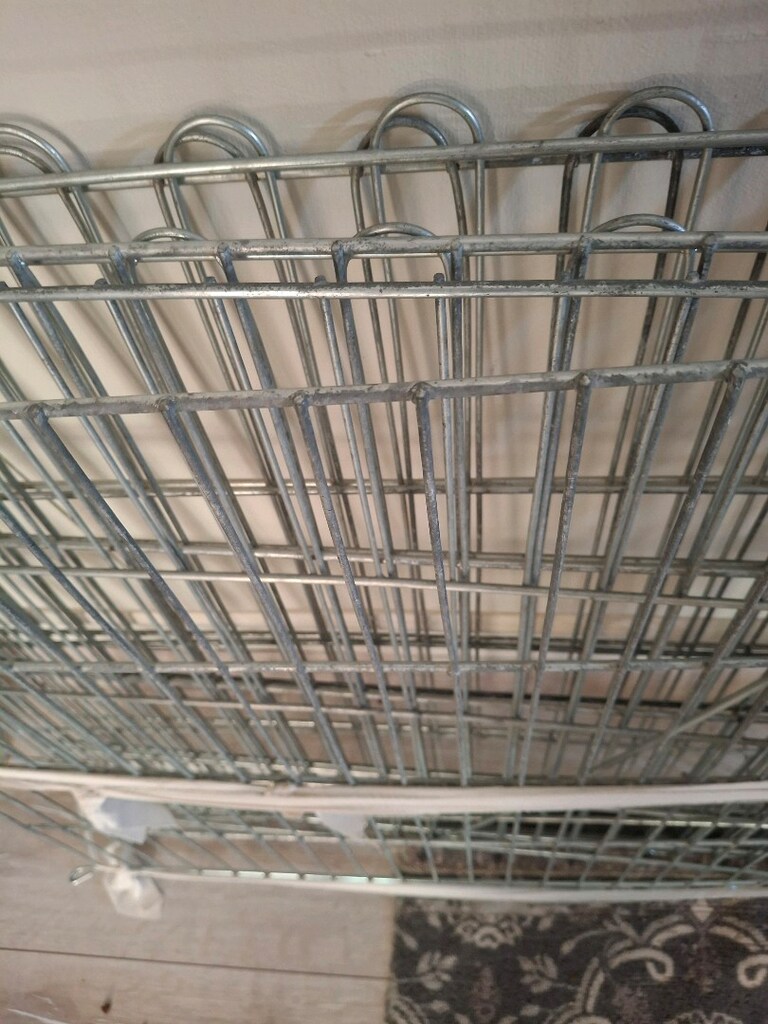 yavru köpek çiti - 2