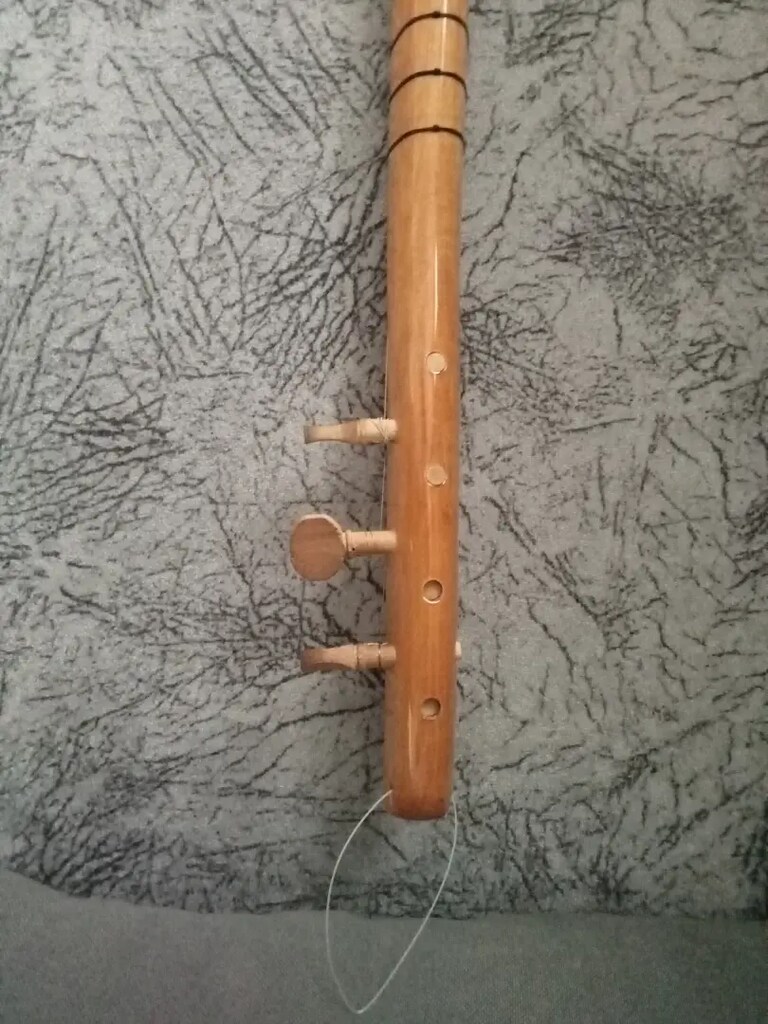 Maun ağacı saz - 6