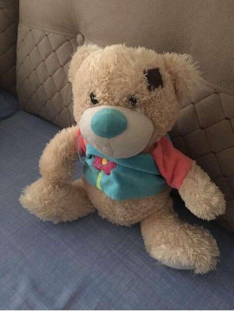 Ayıcık