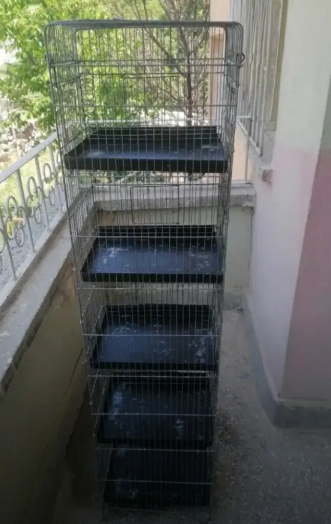 5 Kuş kafesi - 3