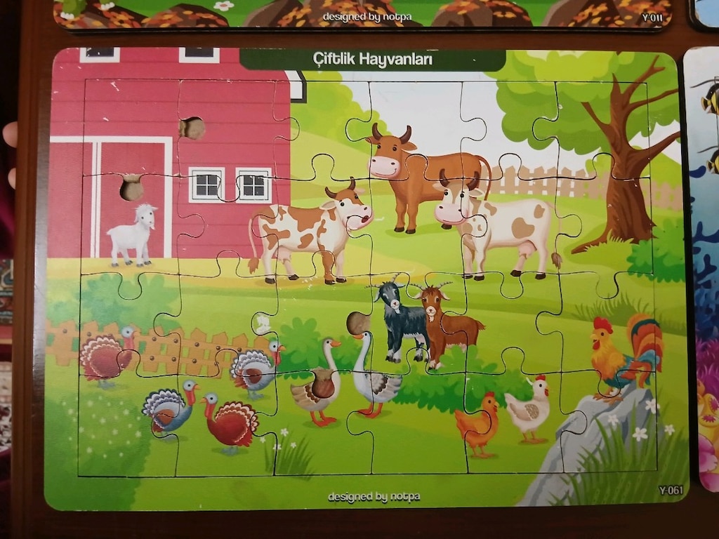 Notpa Çocuklar İçin Eğitici ve Öğretici Ahşap Renkli Puzzle 4'lü Set - 4
