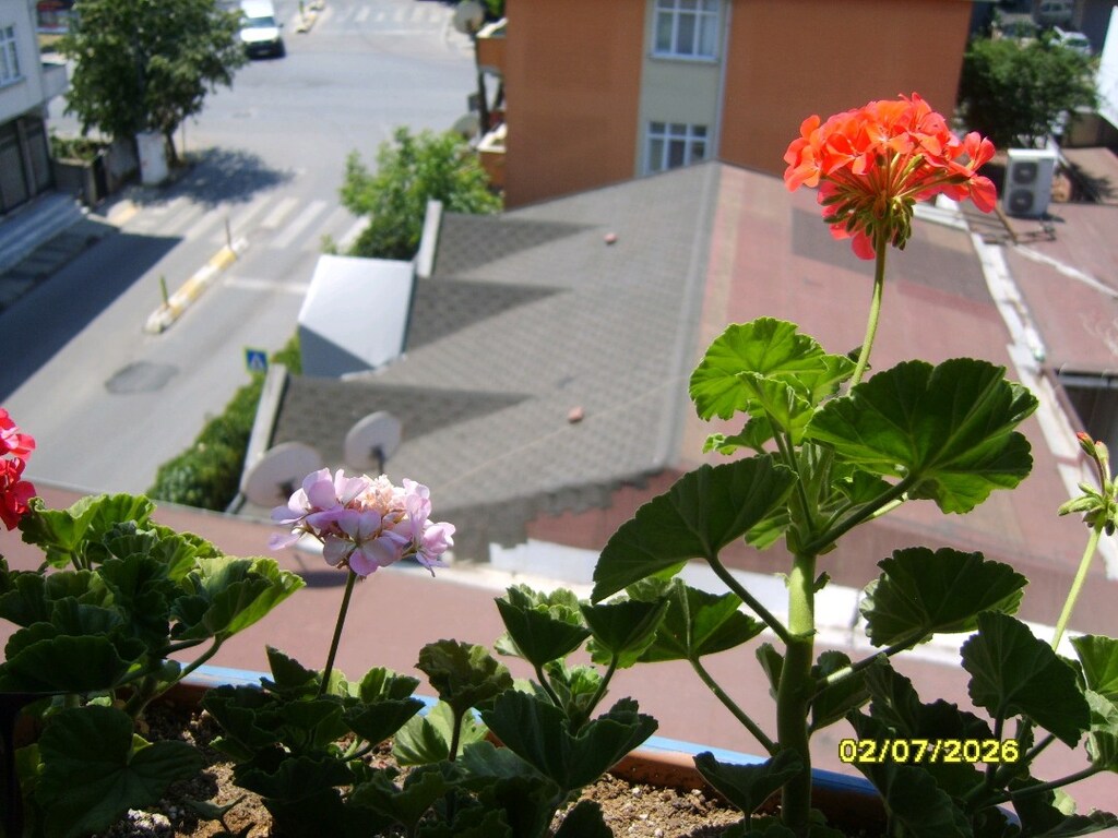 Samsung S830 Dijital Fotoğraf Makinesi 8.1 Megapiksel 3x Zoom Siyah - 11