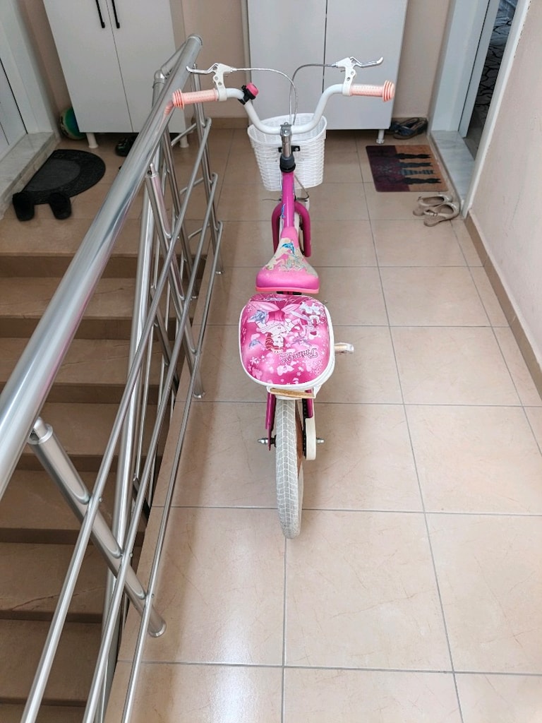 Pembe Renkli kız Bisiklet - 2