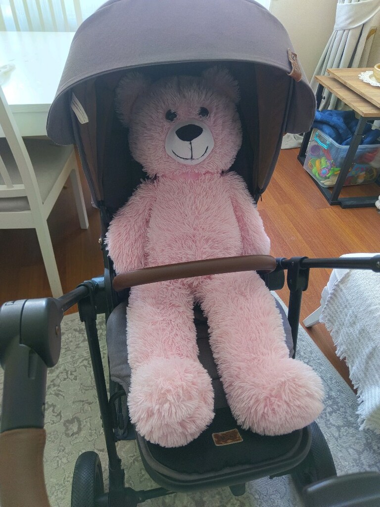 bebek arabasi Kinder kraft - 8