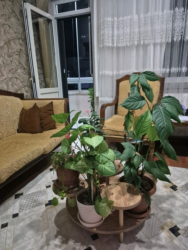 ahşap çiçeklik - 4
