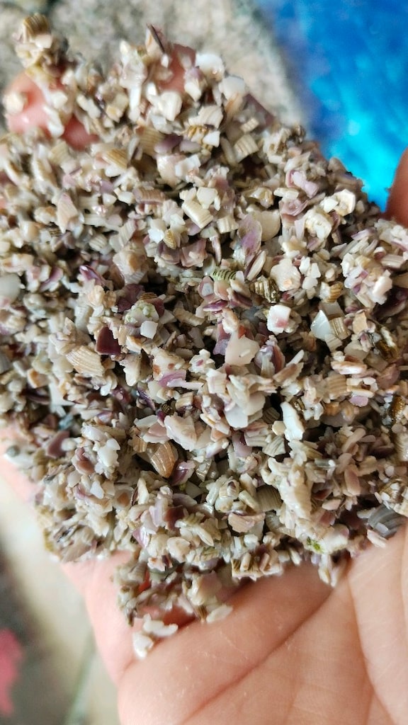 Akvaryum - 2